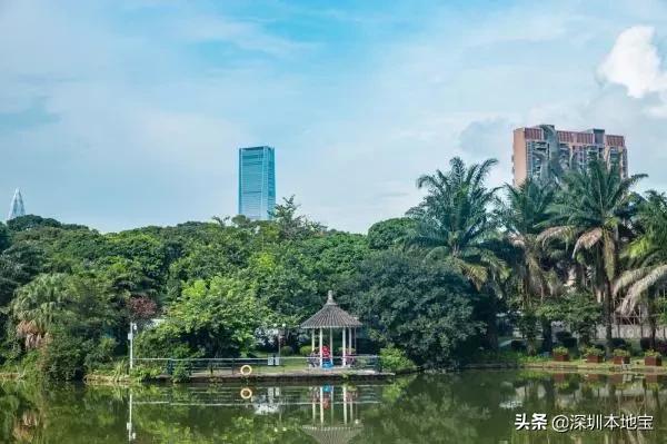 深圳有哪些地方免费景点,深圳都有什么景点免费游玩