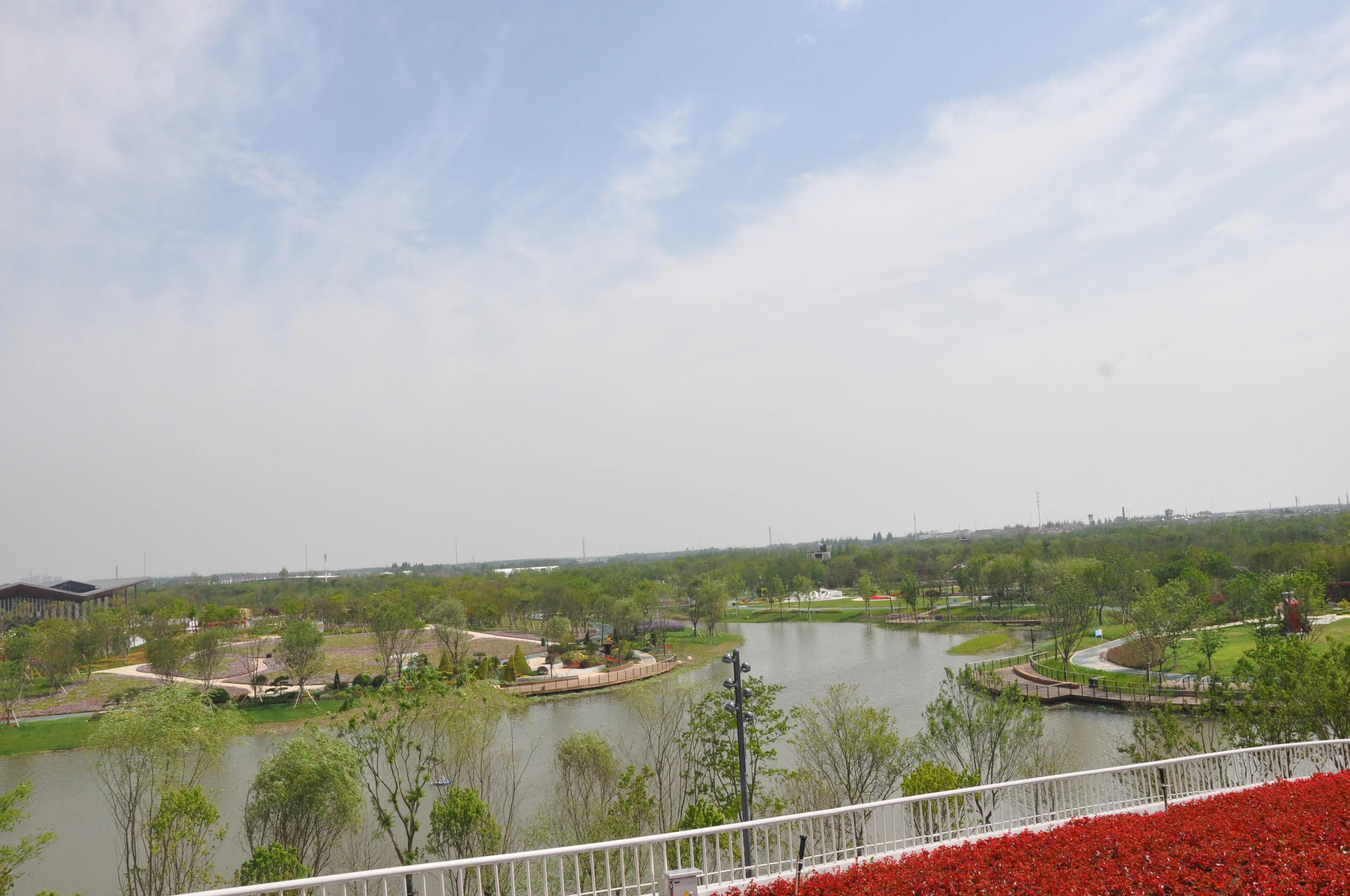 漳州东南花都花博会巡游,花博会花神巡游打卡