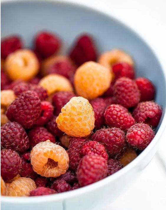 轻食沙拉加盟店经营模式,加盟沙拉轻食