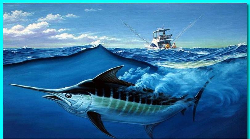 儿童画创意画鱼,儿童绘画鱼创意画