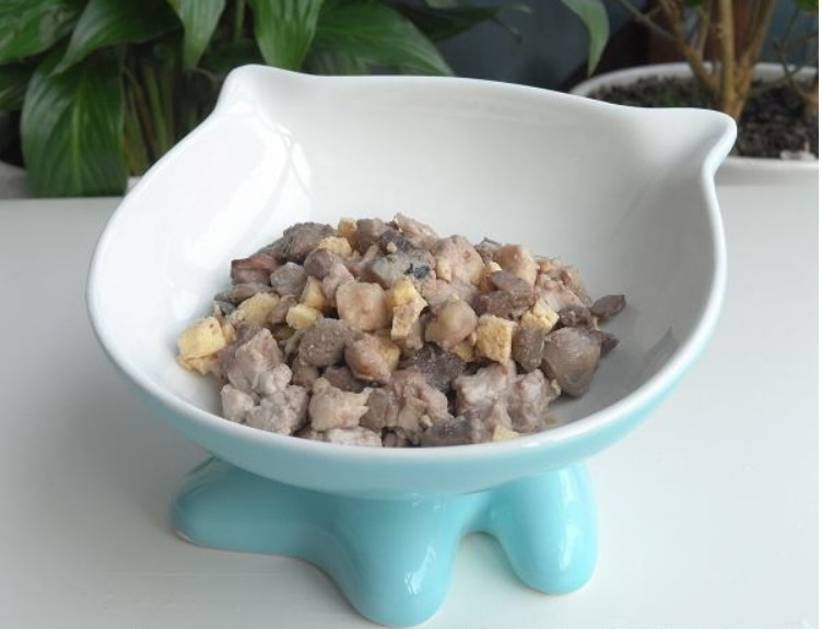 吃肉的猫咪需要额外补充哪些营养,给猫补钙要吃什么