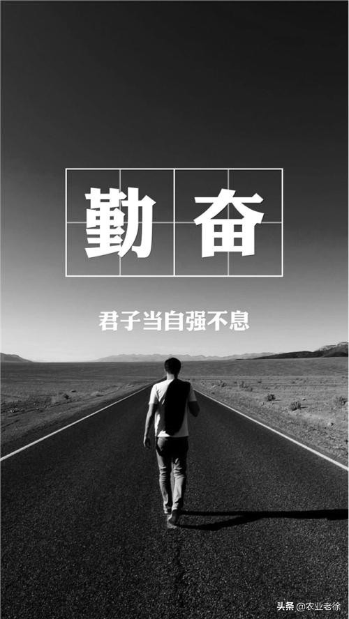 经销商怎么做自己的品牌,经销商如何选择适合自己的品牌