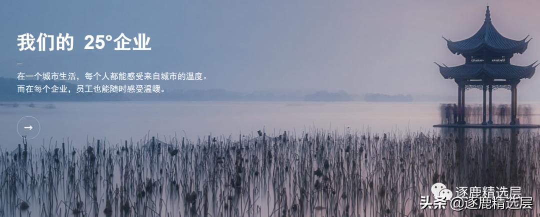 博采网络营销,全网整合营销推广服务商