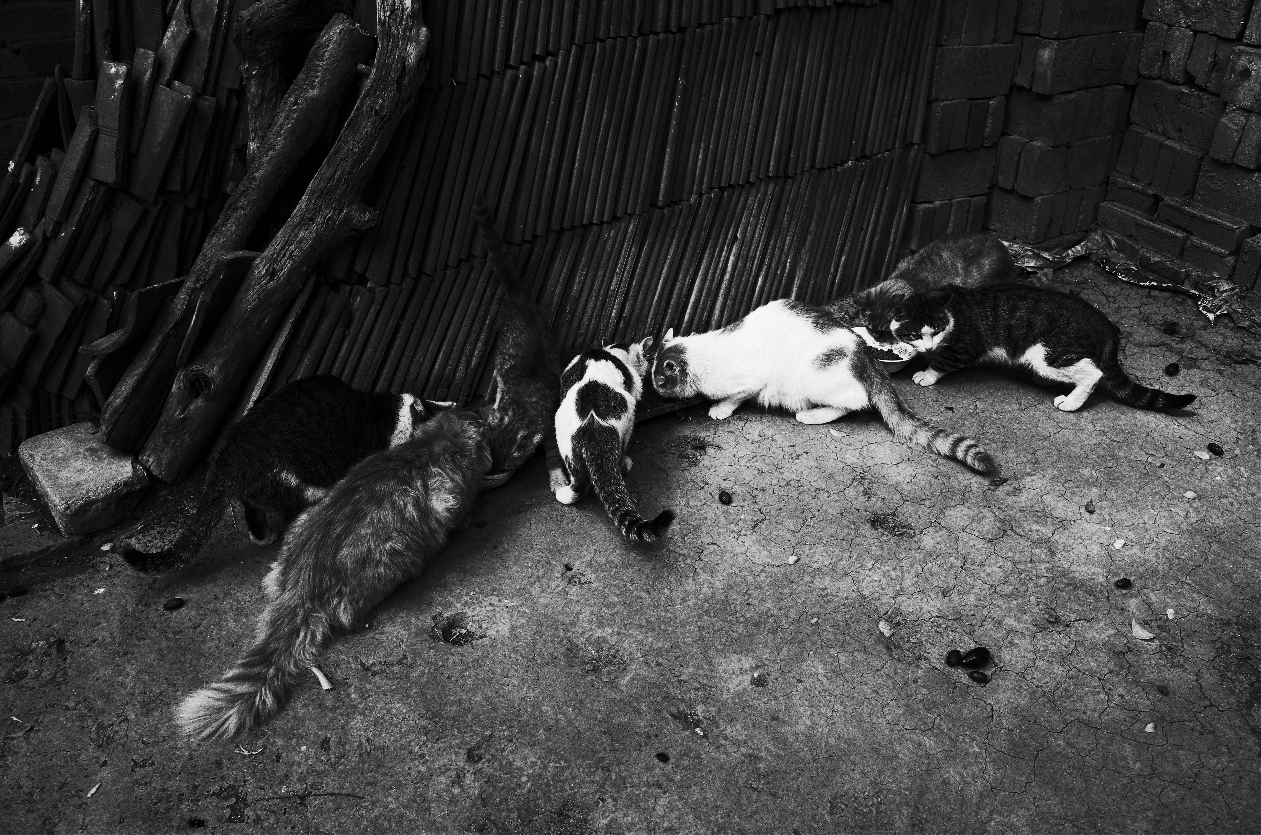 不要被器材左右，我们追求的终究还是摄影的精髓：理光GR（下）