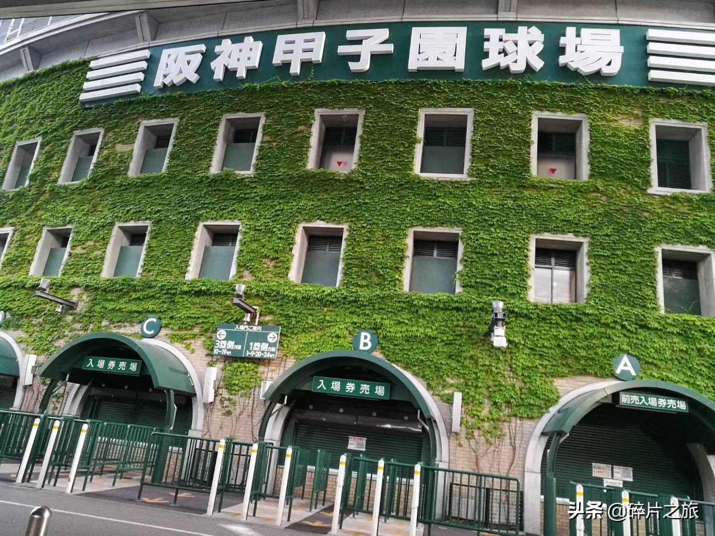 乘风破浪的姐们-上海日本豪华游轮六天五夜游攻略