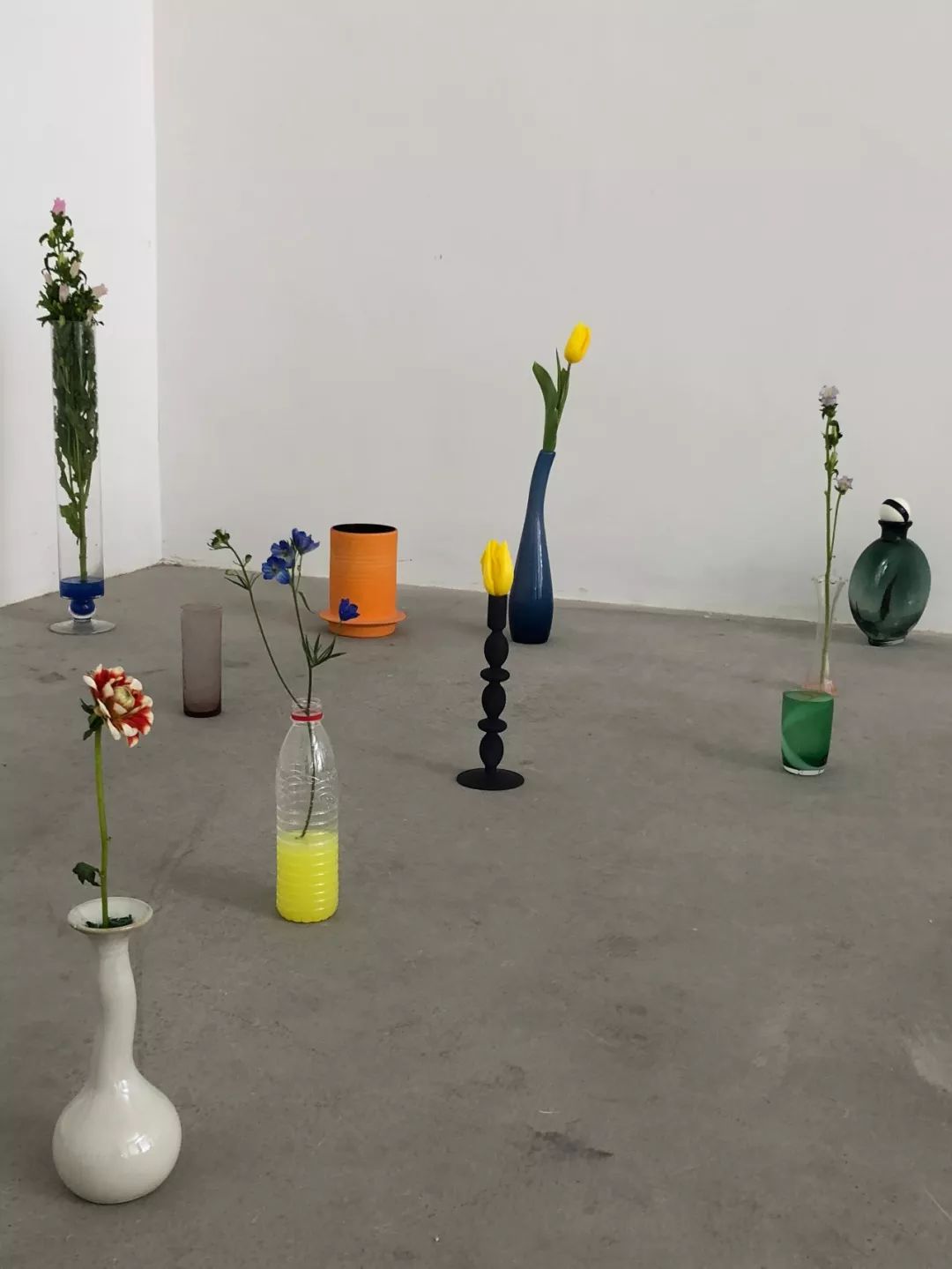 什么花最受女孩欢迎,女孩子中比较受欢迎的花