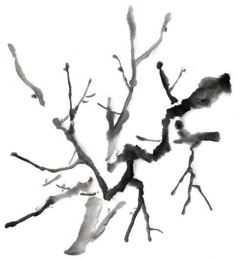 国画梅花上的雪画法步骤教程视频,零基础国画入门画梅花教程