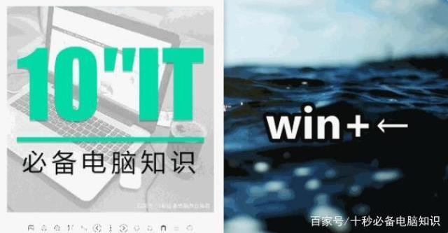 「原创文」窗口快速分屏，文件对比复制高效不止一点｜每天学一点