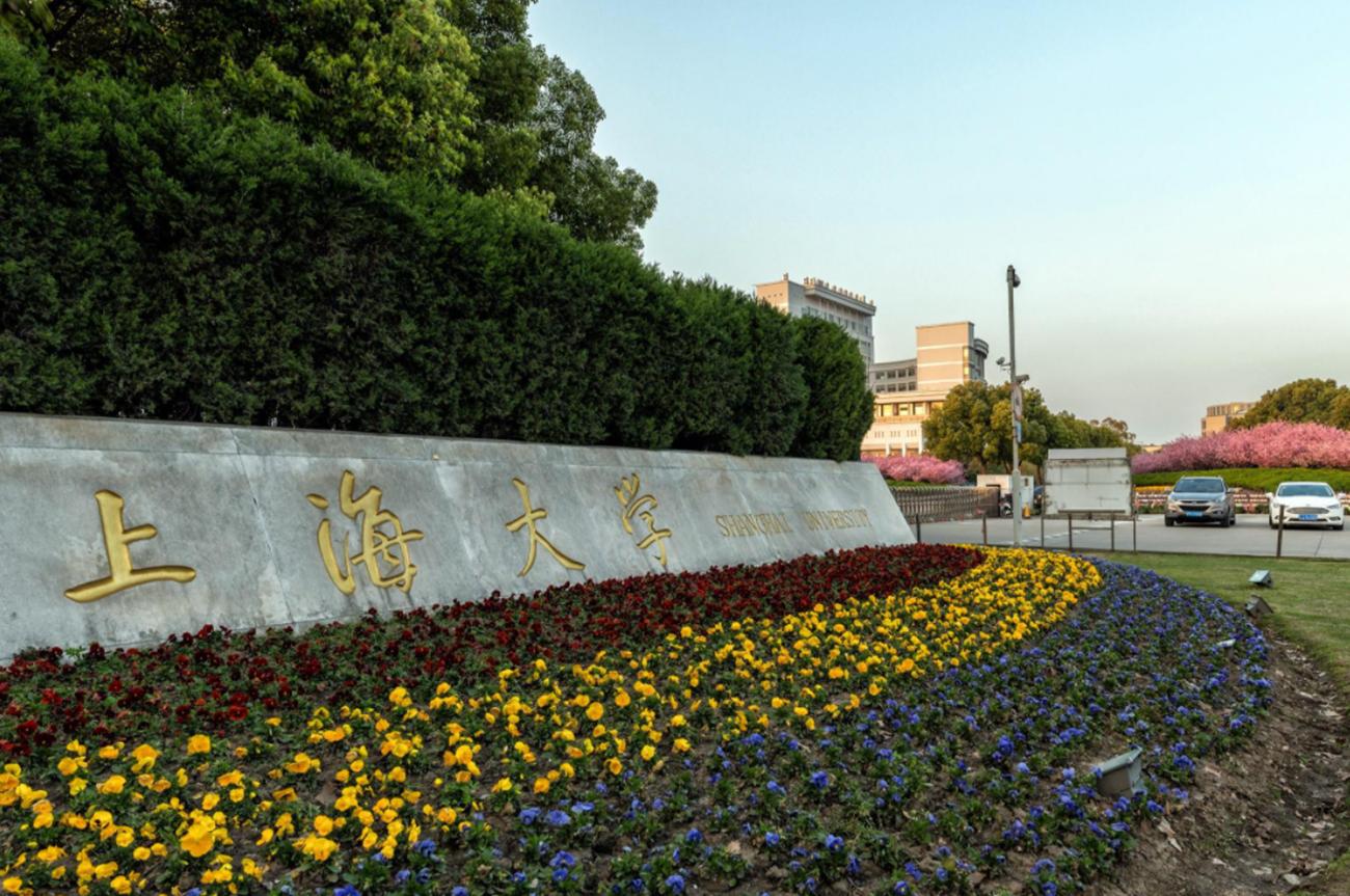 在上海读大学的优势视频,上海的大学的优势和缺点