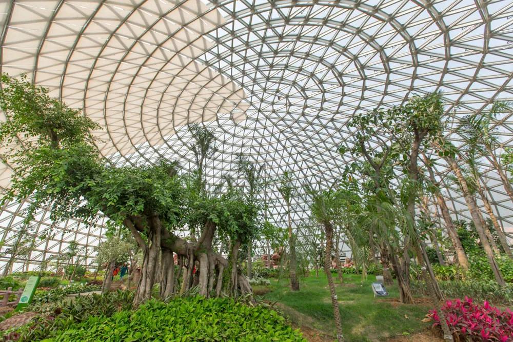 藏不住了！国庆苏州这片花海美哭了！大人小孩玩到不想走