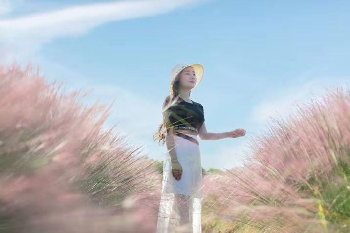 常熟网红基地花海,常熟网红粉黛花海