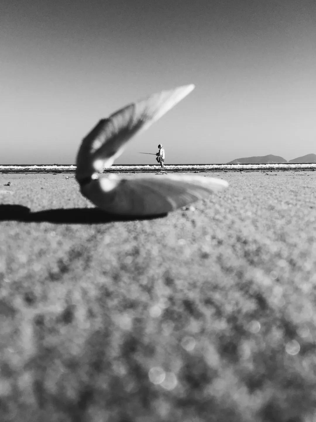 iPhone相机操作技巧,iphone相机操作指南3.0