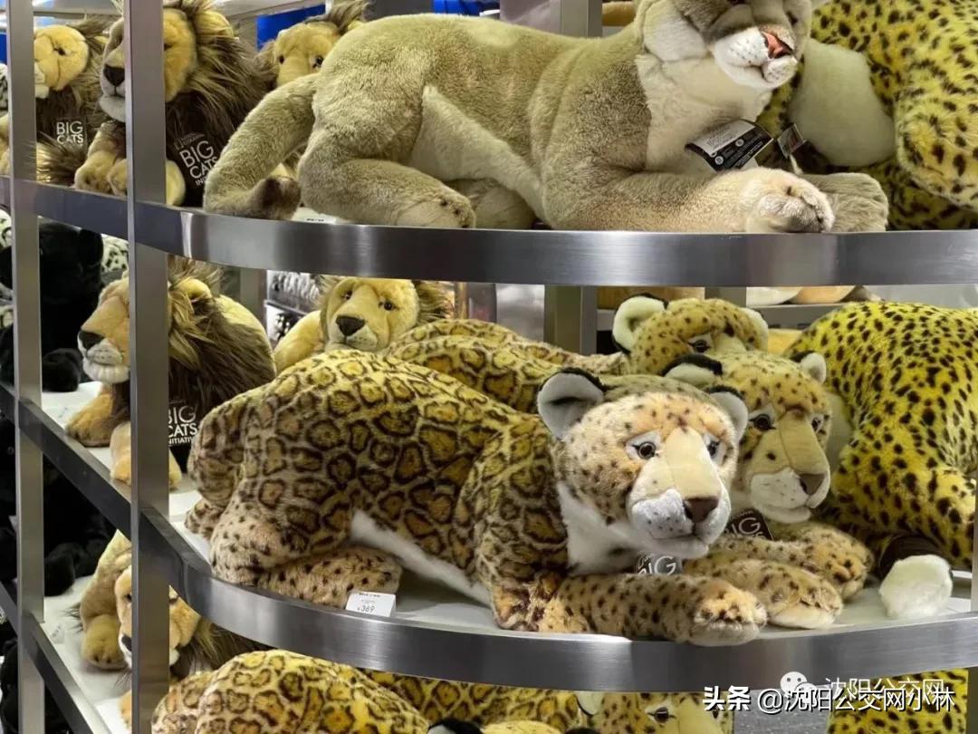 玫瑰大酒店中街,玫瑰大酒店在哪