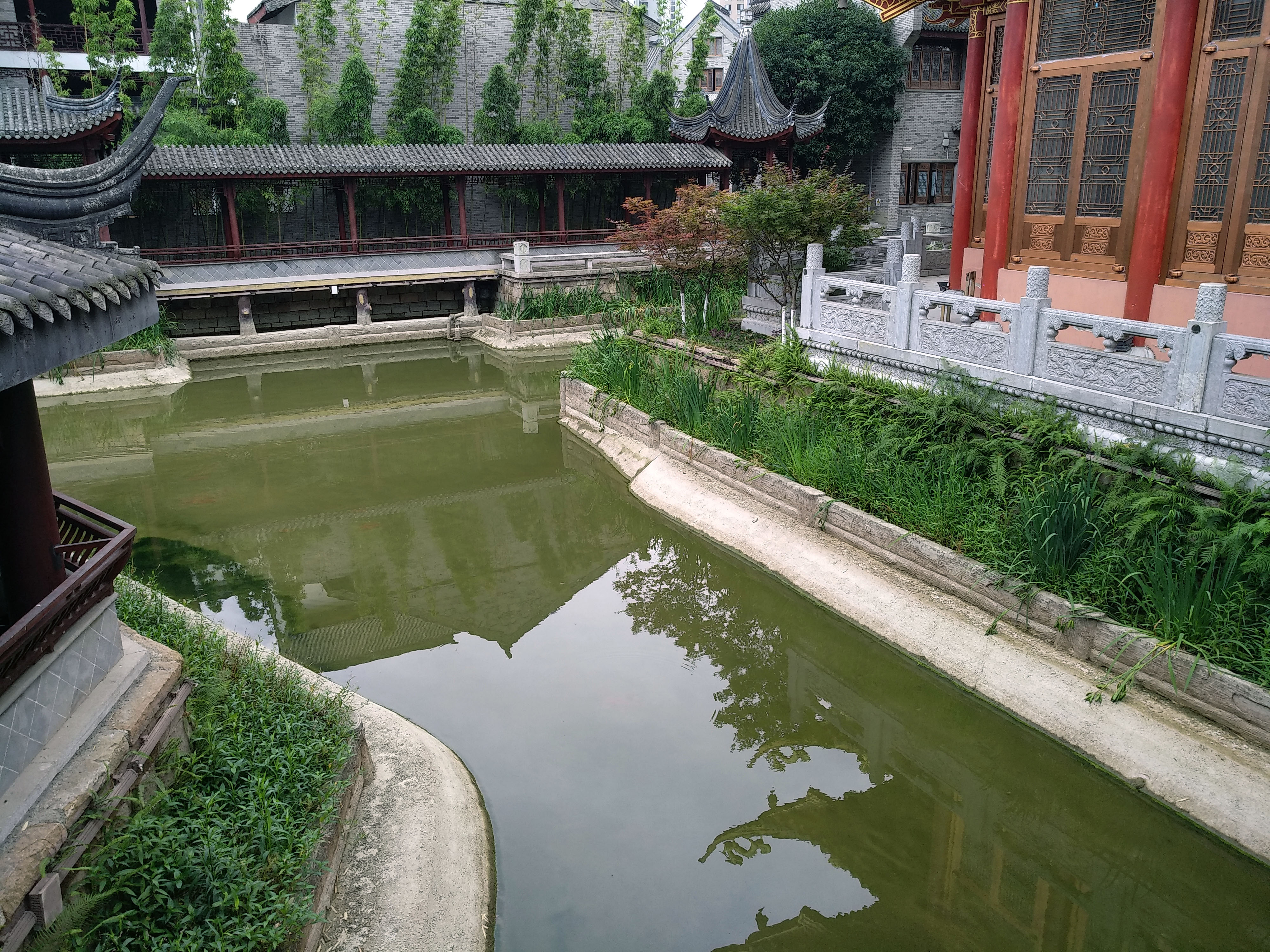 成都龙潭水乡最新消息,成都龙潭水乡别墅区