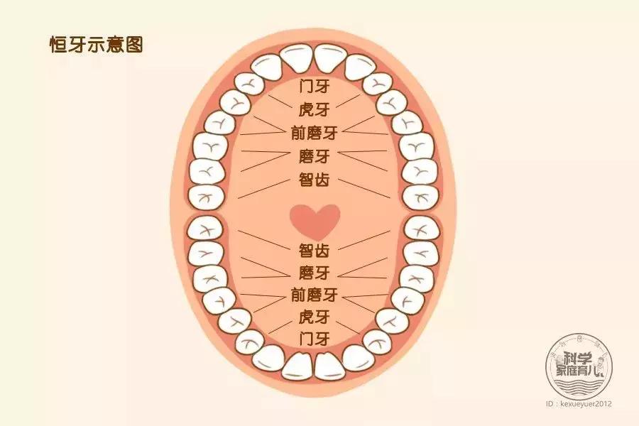小朋友虫牙补了就好了吗,小孩的虫牙需要治疗吗