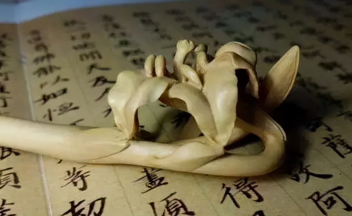 古兽雕件寓意大汇总,雕件上的果实代表寓意