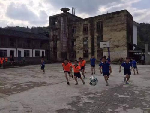 重庆崽儿与东北虎,重庆崽儿电视剧全集