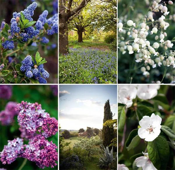 花园设计前沿趋势|14种澳洲庭院花园类型（上篇），全面细致