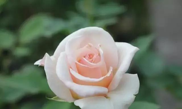 每天学习一点点女性小常识,每天学习一点点科普一下