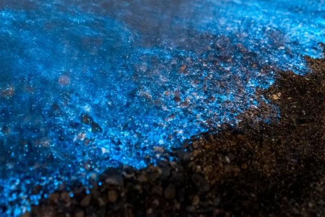 突然就想去旅游了,忽然间就想去厦门了