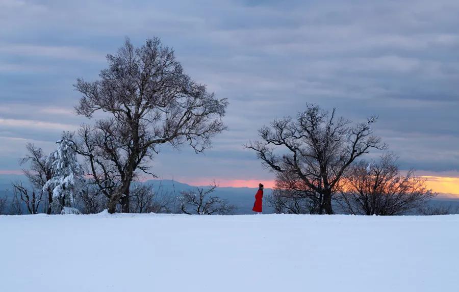 中国千年前一篇状元文,这篇传世奇文说尽人生六大悔事