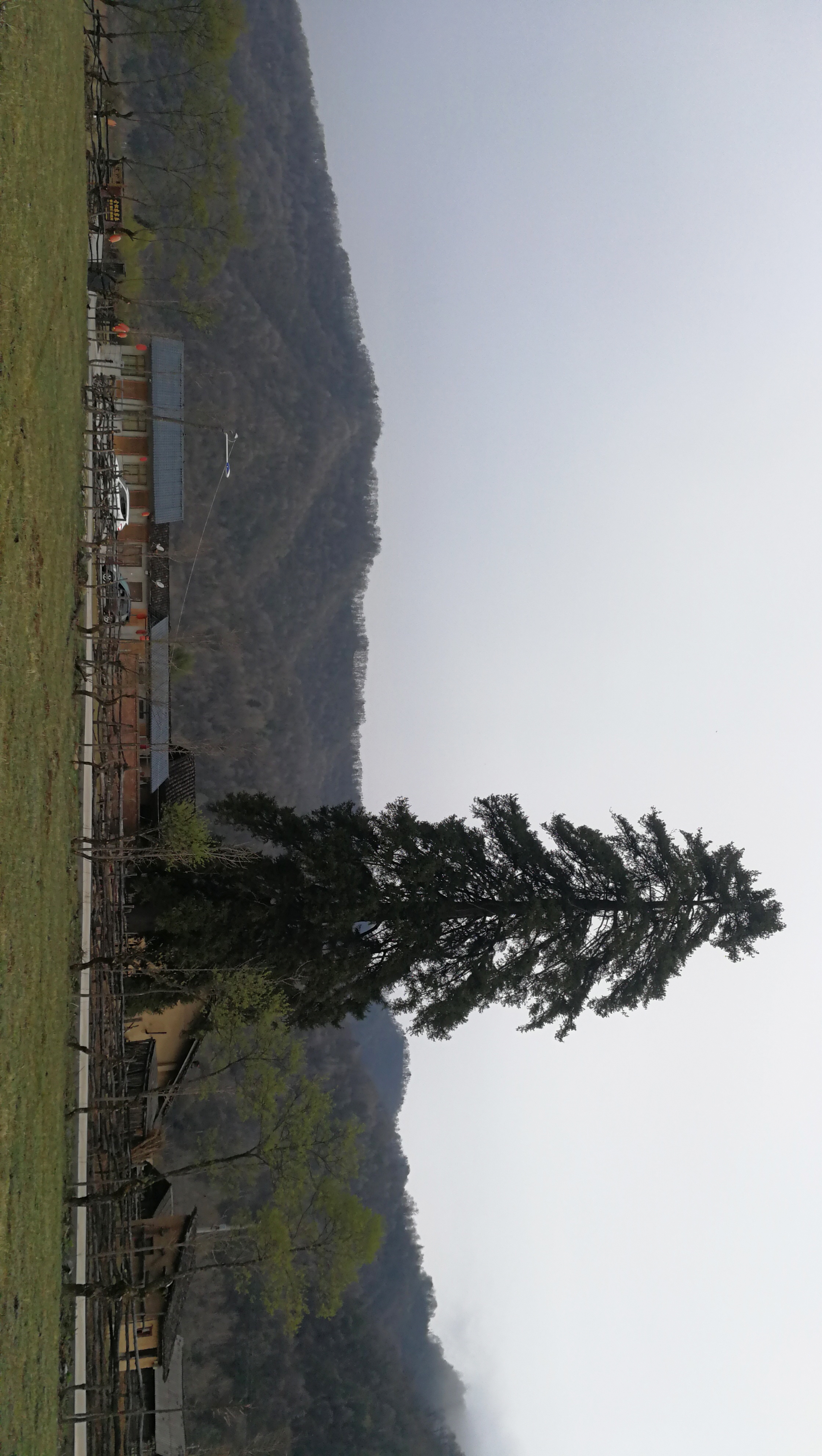 西安周至踏青赏花的路线攻略,周至老县城旅游攻略