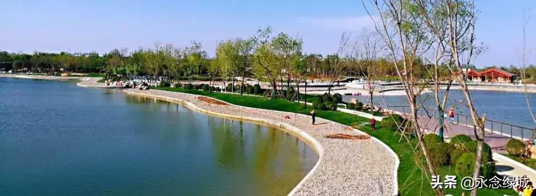 南阳世界月季大观园开幕邀请,南阳月季大观园门票现在免费政策