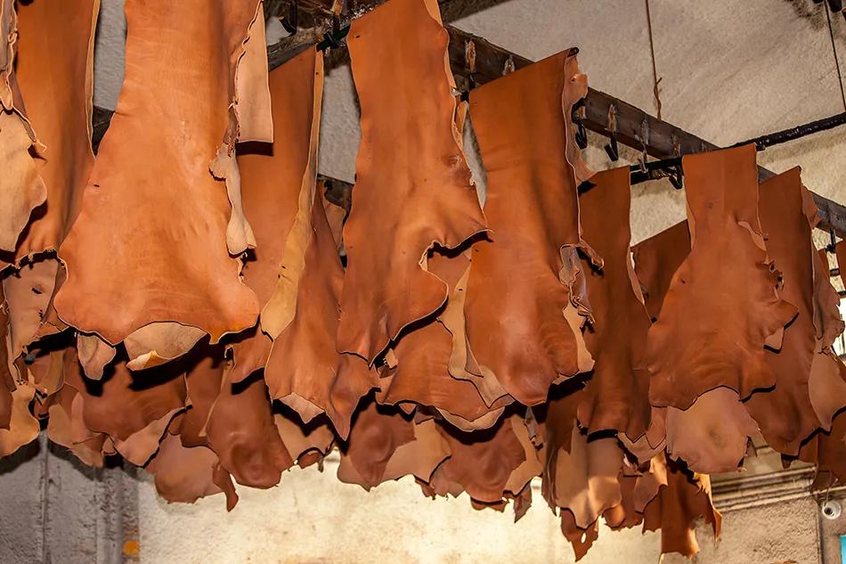 来！听意大利吹牛皮