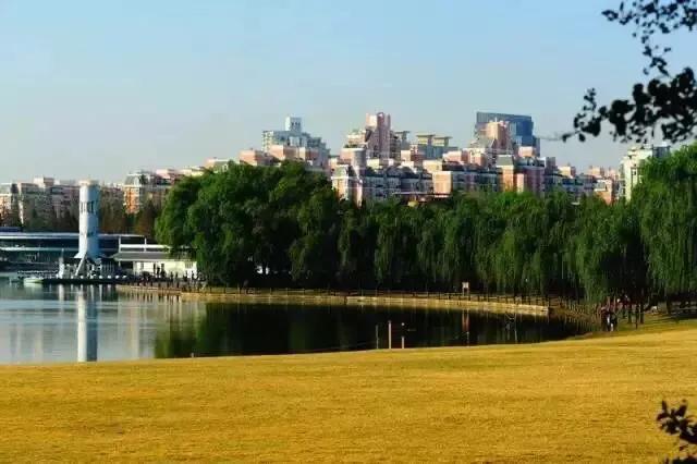 上海地铁沿线景点全部免费,上海地铁11号线上海赛车场