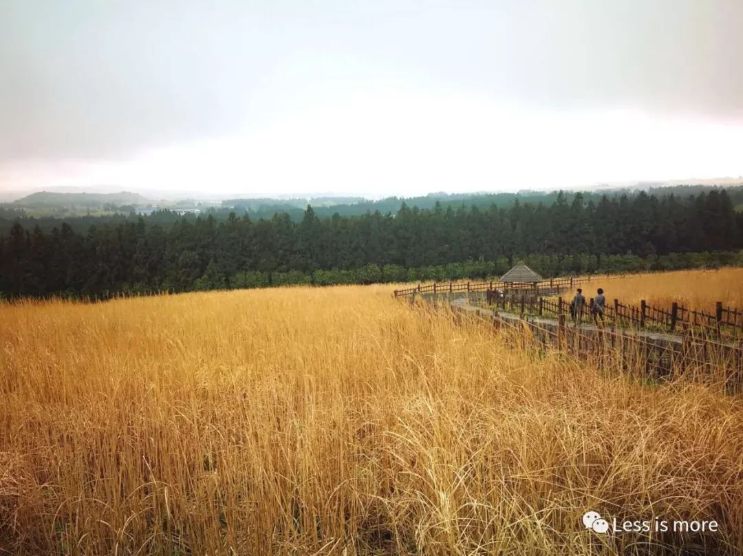 韩国济州岛五天攻略,韩国济州岛旅游详细攻略
