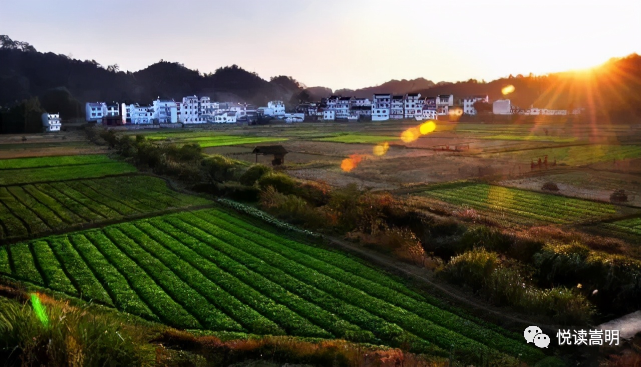 云南省级卫生村,云南省乡镇卫生村