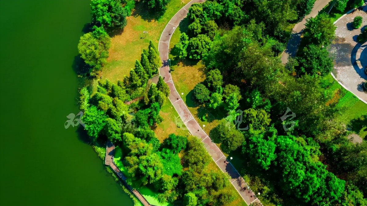 双流绿道风景,成都双流区风景好的绿道
