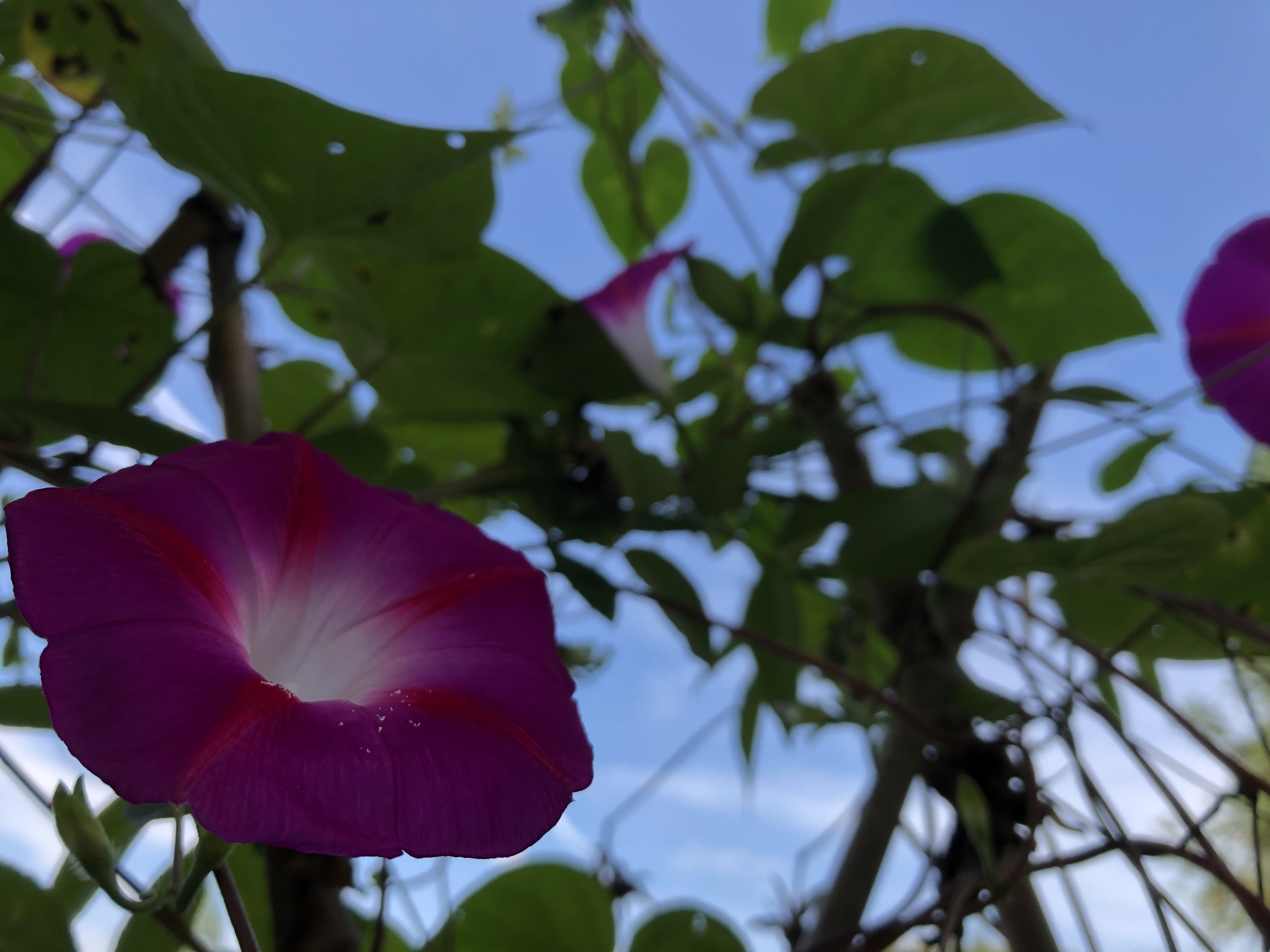 私募基金的管理者都是怎么操盘的,操盘手如何管理自己的业绩