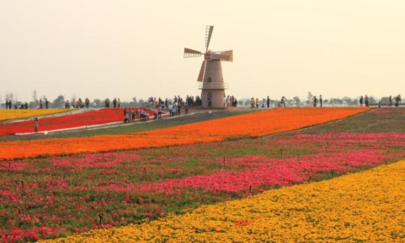 合肥市网红游玩区,合肥网红景点推荐