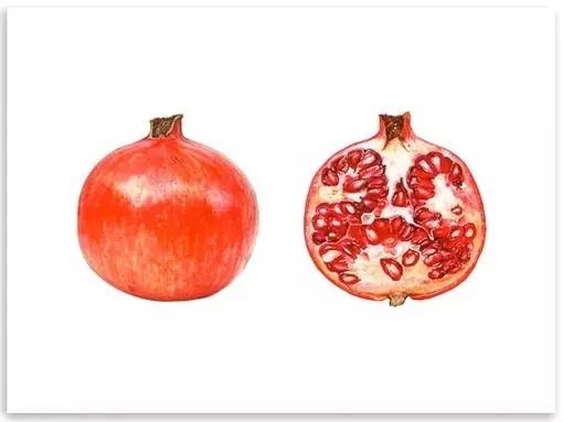 超写实绘画真实吗,超写实的植物绘画