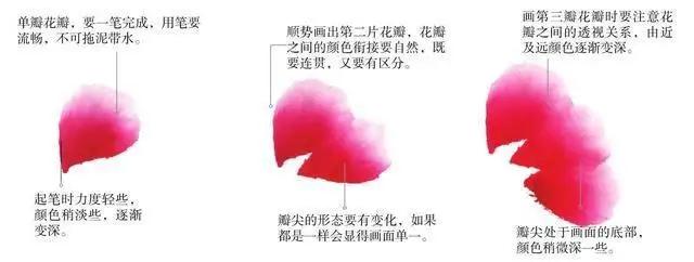 学习写意牡丹画的方法,学习写意牡丹画的步骤