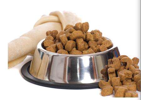 狗狗喂食狗粮的正确方法,过渡期怎么让狗狗吃干狗粮