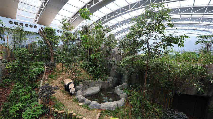 新加坡三个动物园哪个最好,新加坡动物园哪个最值得去看