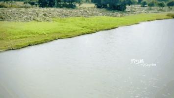 松山湖风景区松湖烟雨是哪个门,松山湖景区松湖烟雨有哪些好玩的