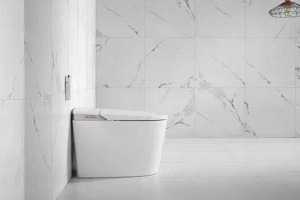 最大智能马桶代工厂,智能马桶工厂现状