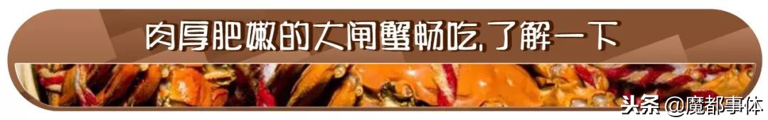 上海天安千树网红打卡点,上海打卡必去的地方排名