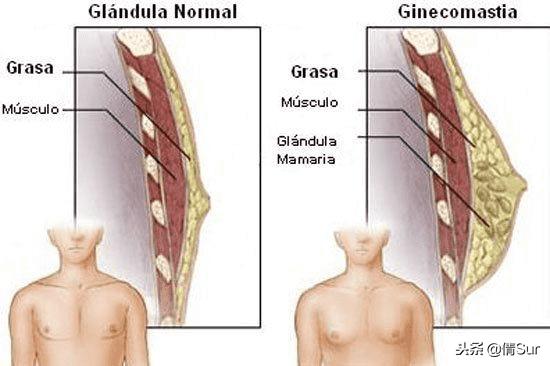 当你的胸比女朋友还大的时候,就要引起注意了……