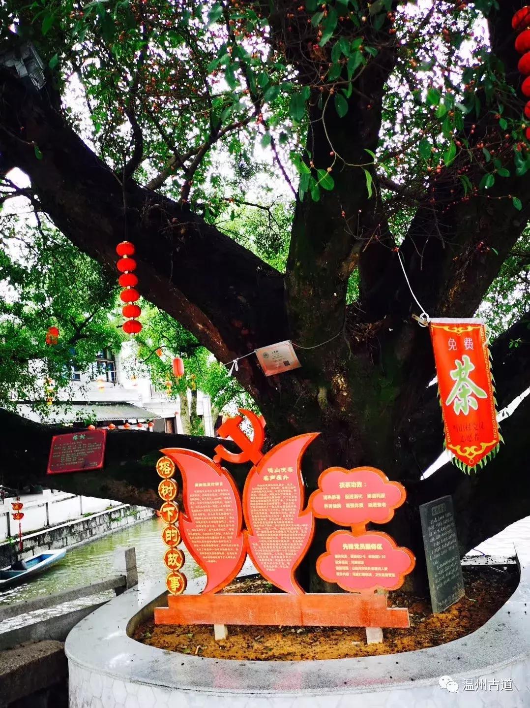 千年古村平阳县鸣山村古城夜景,平阳昆阳鸣山古村落