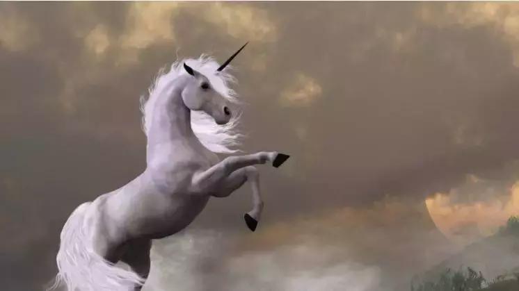 济民制药与哪一股同步,1年涨10倍的股票背后的逻辑