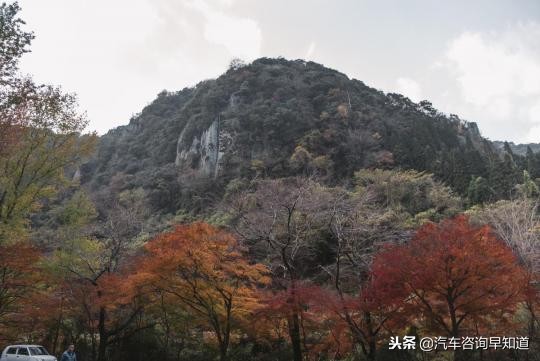 日本自驾游需要注意什么,日本自驾最新