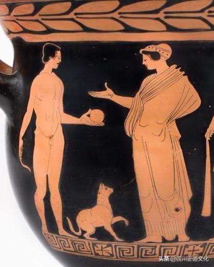 猫的故事,猫的故事视频