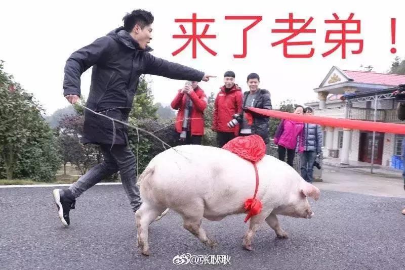 收官之战汹涌而至,收官跑量突破200