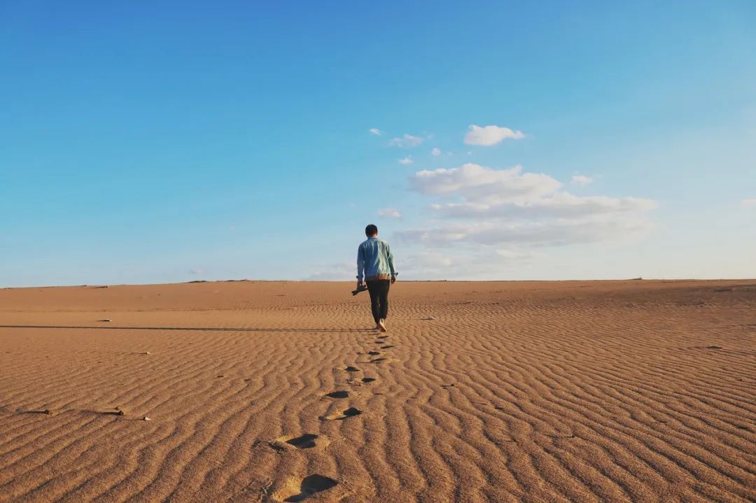 庸者谋利能者谋局智者谋势的意思,庸者谋利能者谋局智者谋势读后感