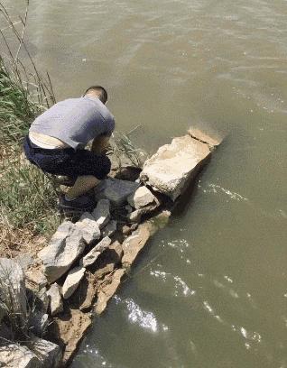 吃榴莲后牙痛怎么办,吃榴莲能治牙痛吗