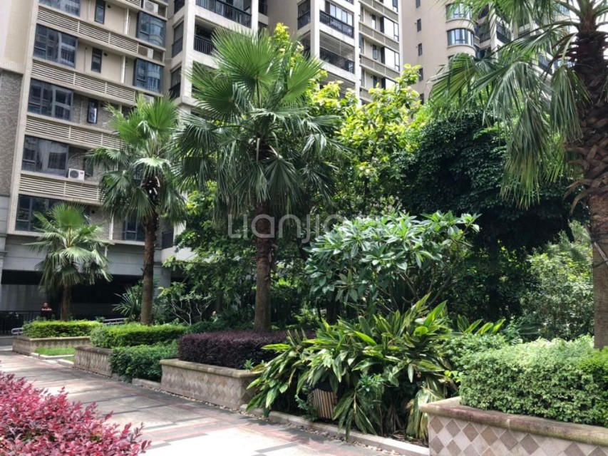 龙林上观最新房价,惠州市上观国际楼盘